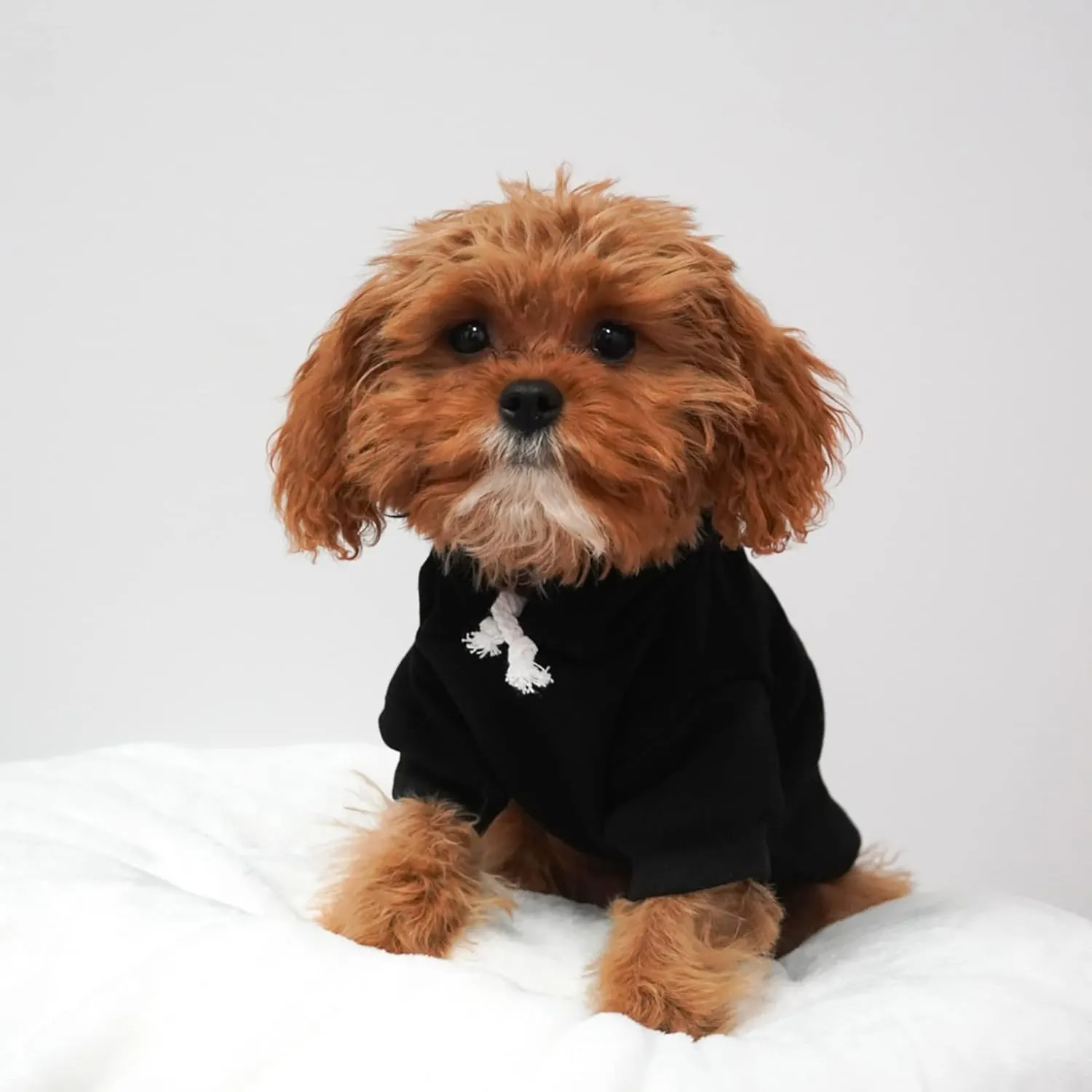 Baby Security in Training Pullover Fleece Lined Dog Hoodie with Leash Hole Sweatshirt (Royal)
