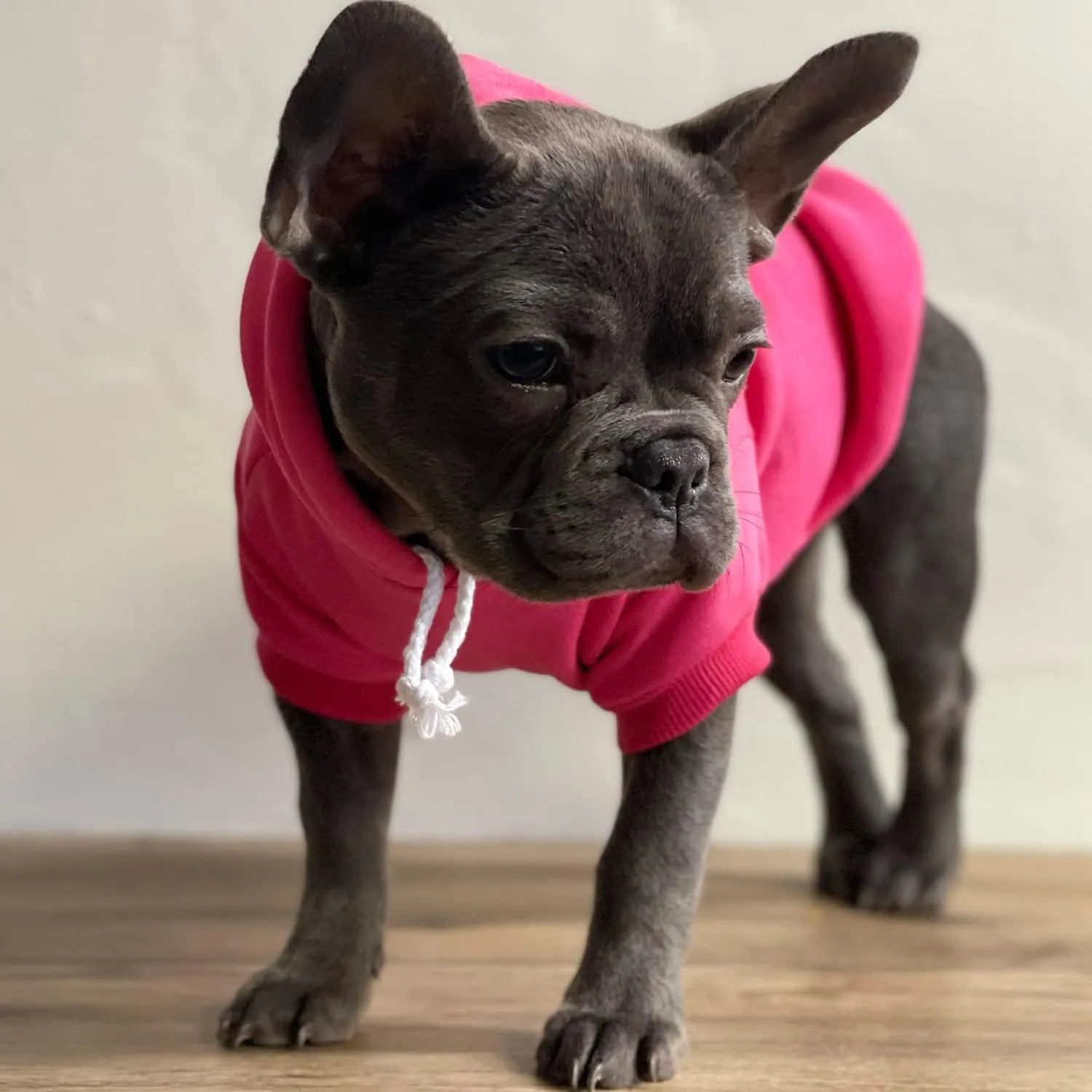 Big Brother Heart Paw Pullover Fleece Lined Dog Hoodie (Black Hooded Sweatshirt)