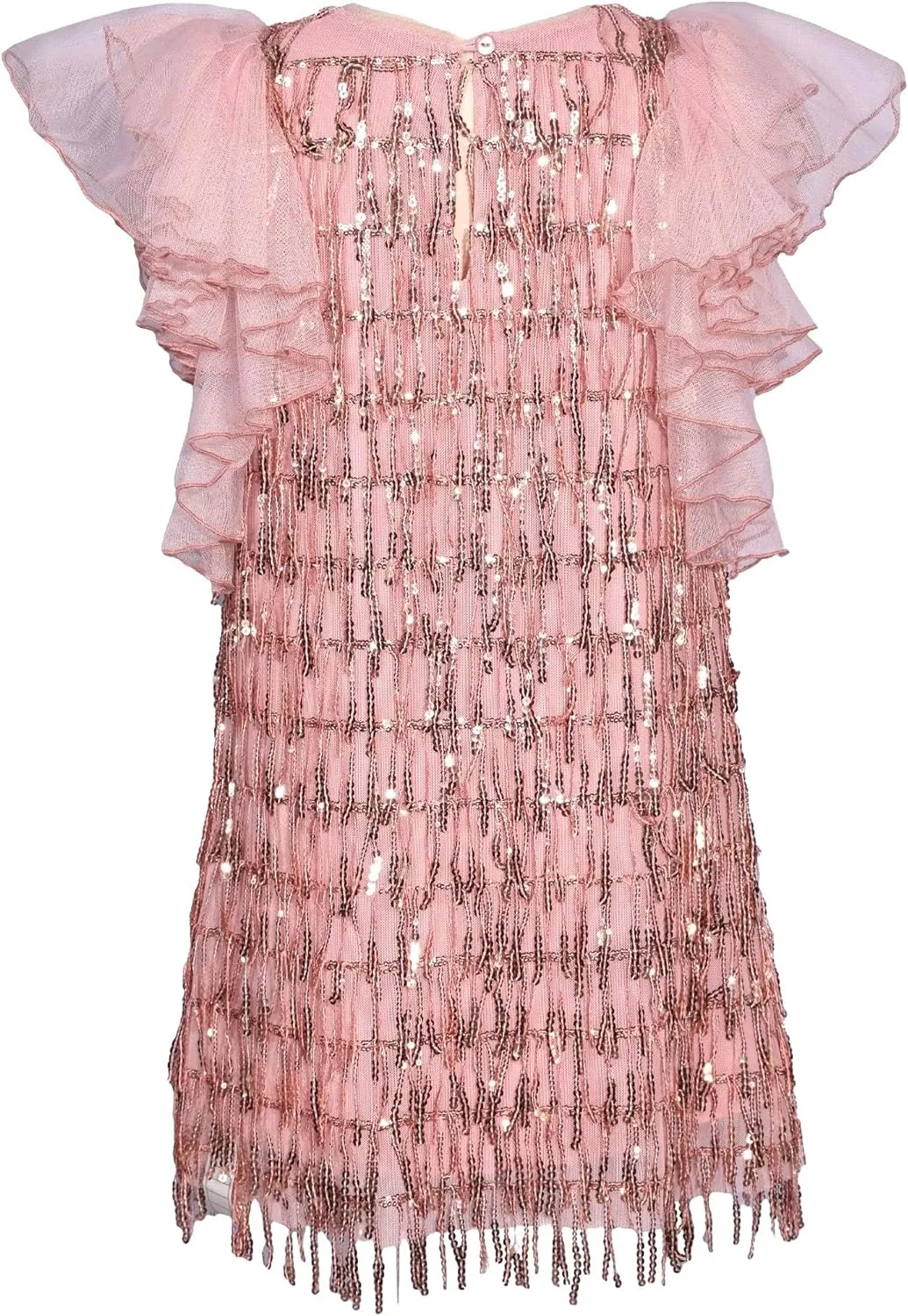 Bonnie Jean Girls Size 7-16 Dangling Sequins Chiffon Sleeve Dress