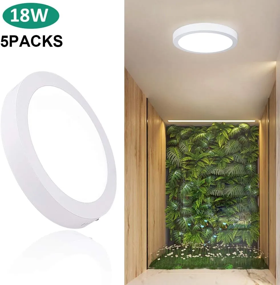 DLLT Modern LED Flush Mount Panel Ceiling Light, 1400LM 18W Round Surface Mounted Ceiling Lights 5000K Wall Light Fixture for Closet, Kitchen, Hallway, Bathroom 5 Packs Lighting Daylight White