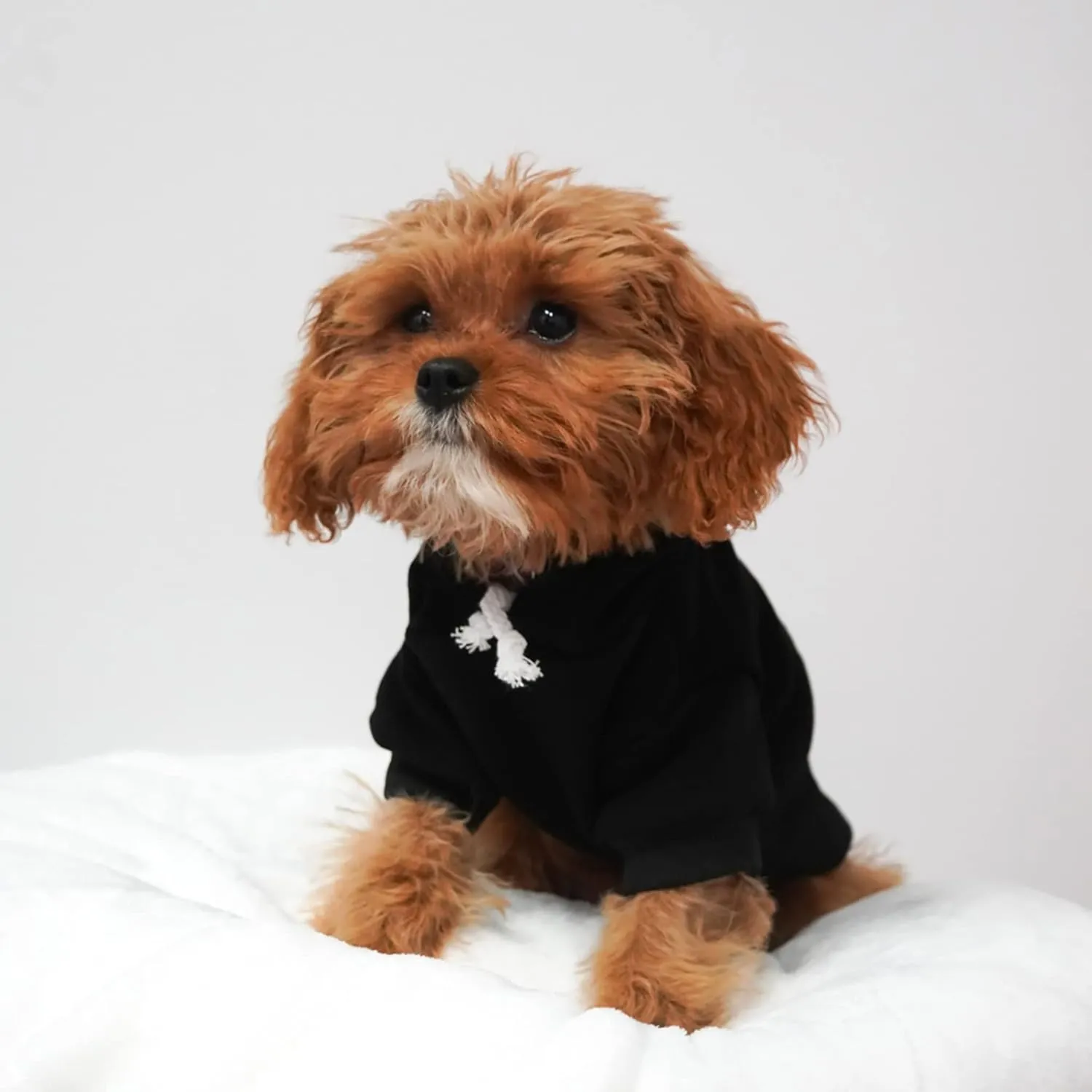 It's My Gotcha Day Dog Hoodie Fleece Lined Pullover Sweatshirt with Leash Hole(Black, Medium 12)