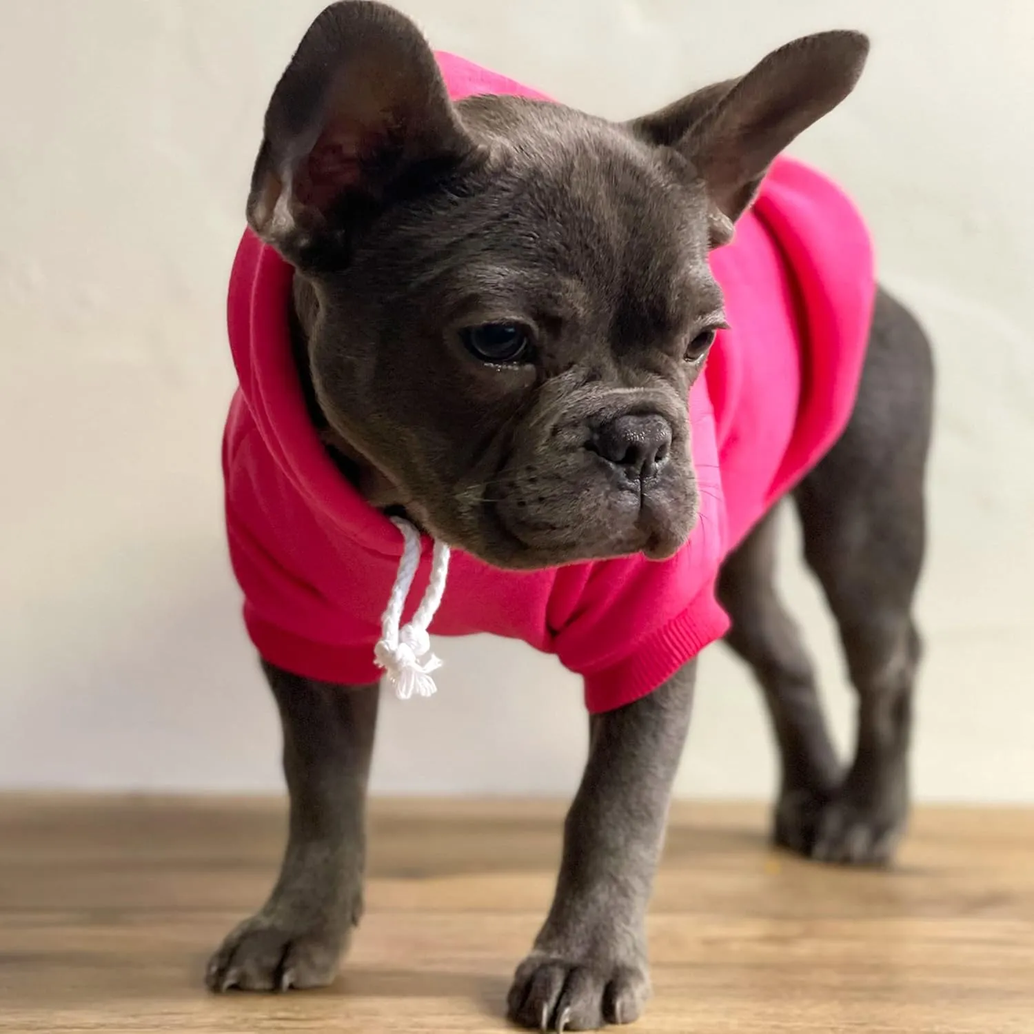 It's My Gotcha Day Dog Hoodie Fleece Lined Pullover Sweatshirt with Leash Hole(Black, Medium 12)