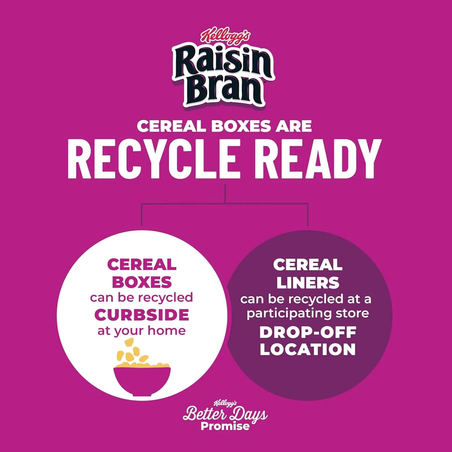 Kellogg's Raisin Bran, Breakfast Cereal, Original, 1.52oz (70 Count)
