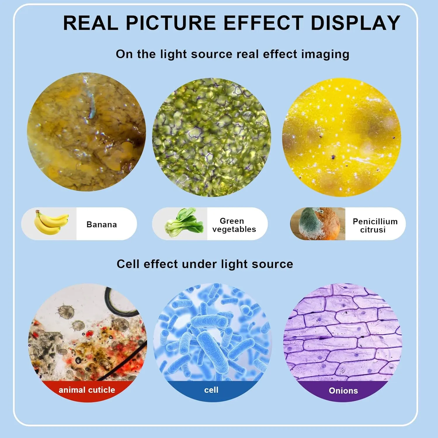 Microscope for Adults WF10x and WF25x eyepieces, 40X-2000X Magnification USB Camera, Microscope for Adults Suitable for Laboratory School Home Education.
