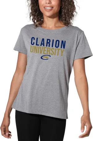 Official Collegiate Distressed Stacked Logo Women's Apparel Loose T-Shirt Collection, Athletic Heather