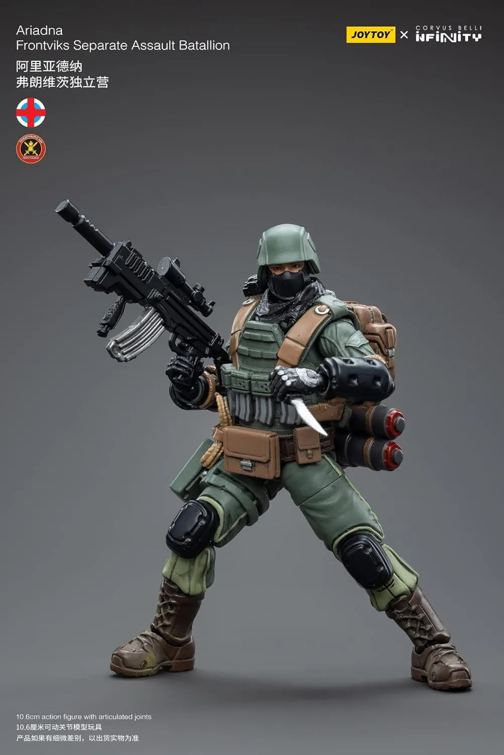 Pipigirl JoyToy × Infinity 1/18 Soldier Action Figures, 4inch Infinity Armata, 4inch Infinity Ariadna Veteran Soldier Models Kits (Infinity-Ariadna Frontviks Separate Assault Batallion)
