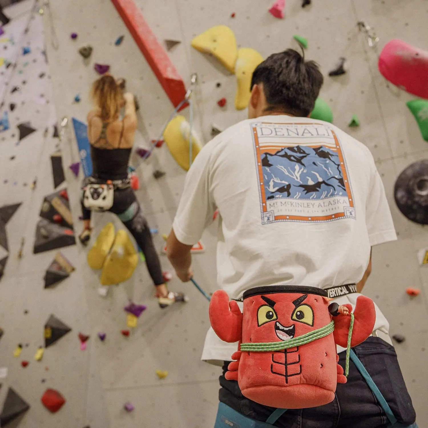 Rock Climbing Chalk Bags