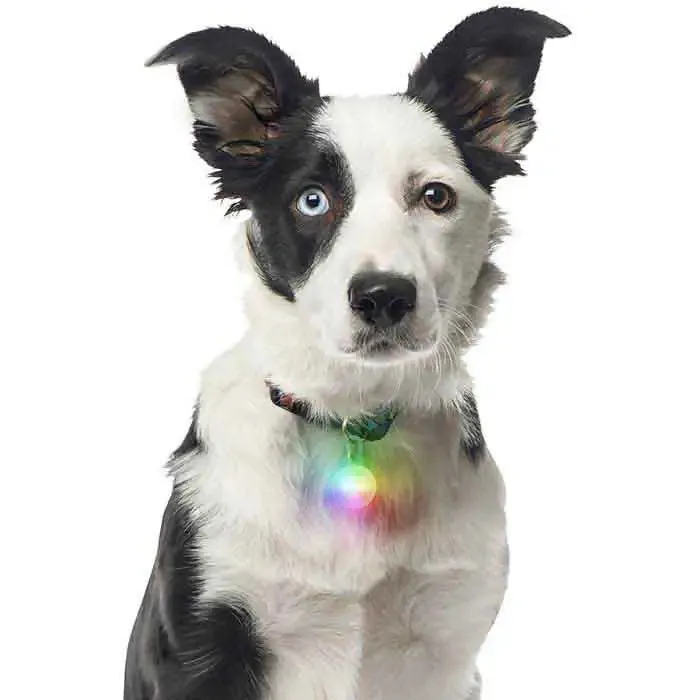 Spotlit LED Carabiner Light - Disc-O Select