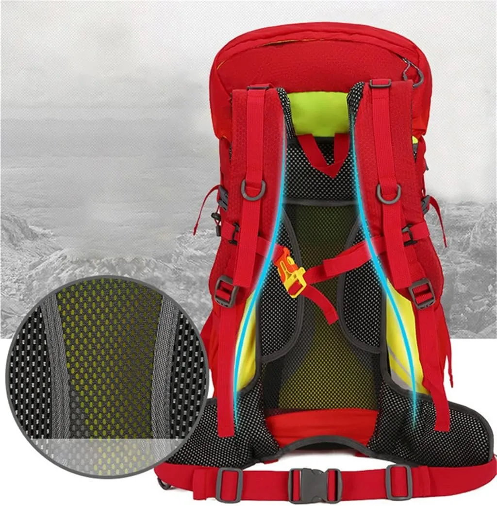 Travel Sports Backpack Camping Bag Multi Pocket Outdoor Bag 40L Hiking Backpack(C)
